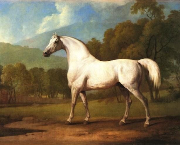 grey horse painting grey horse painting