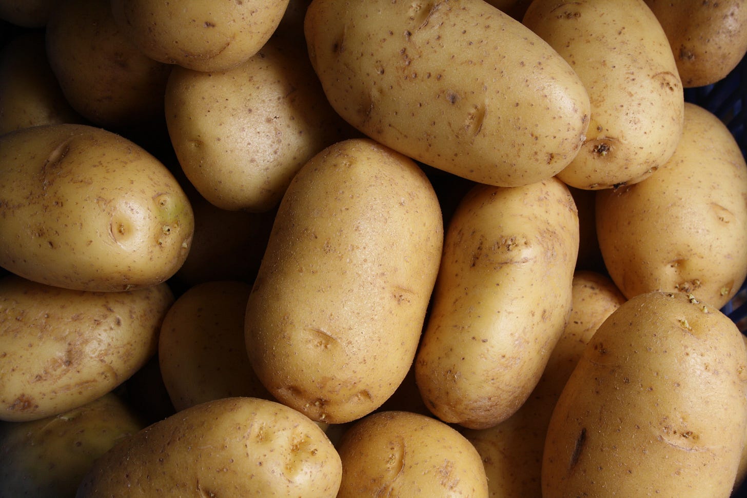 Po-TAY-toes. Boil 'em, mash 'em, cook 'em in a stew...