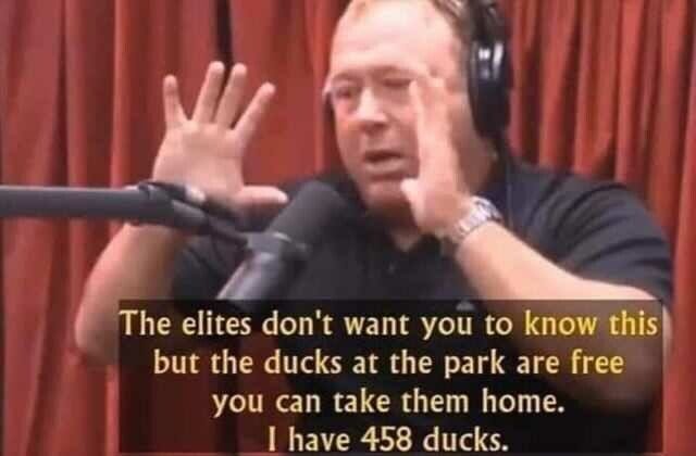 Free ducks