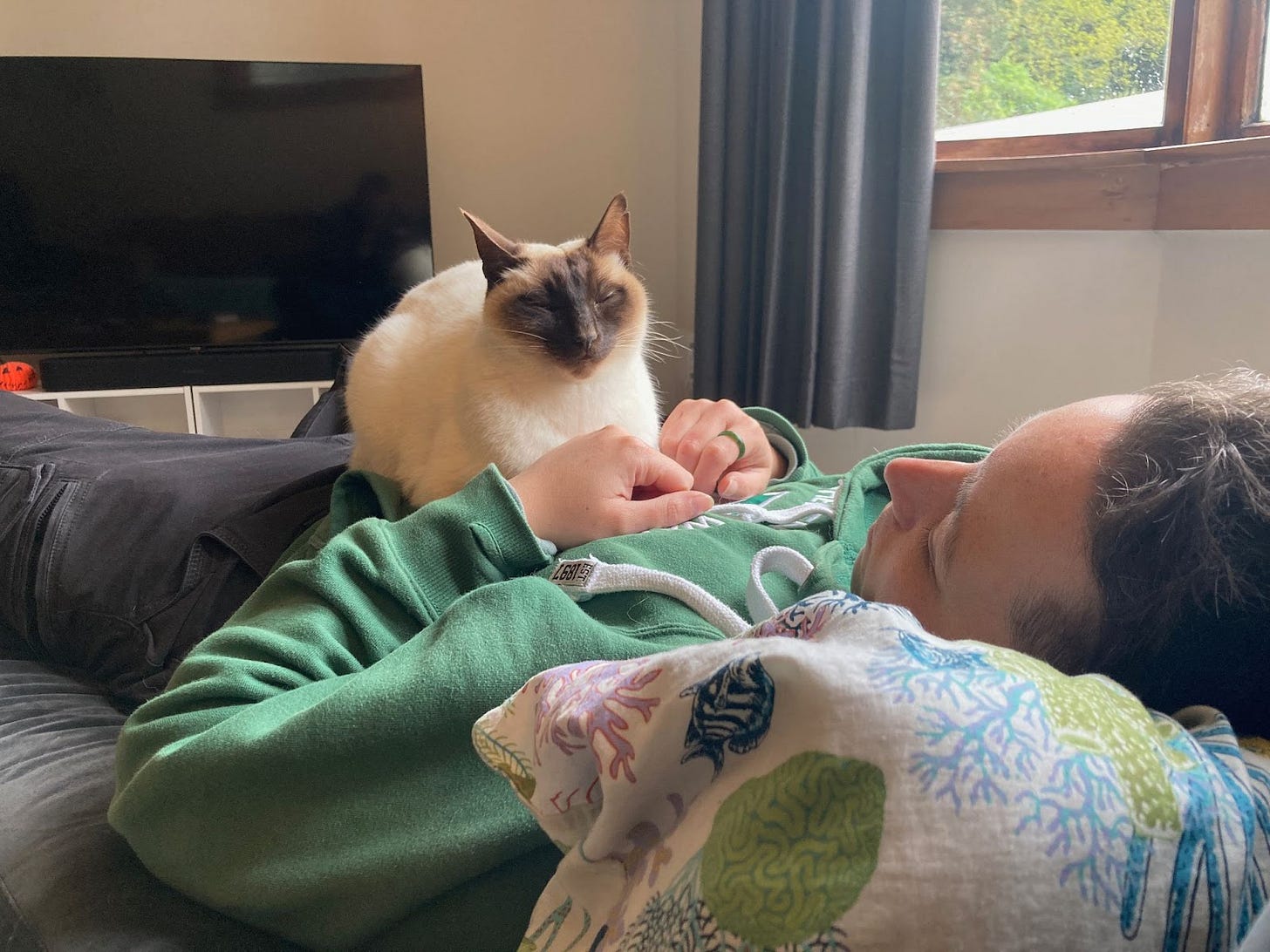 cat ontop of resting human