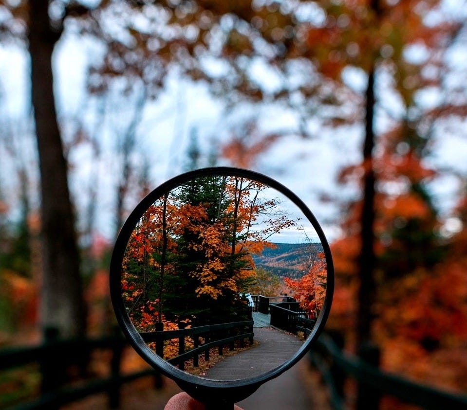 magnifying glass magnifying glass