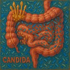 The Candida Cure
