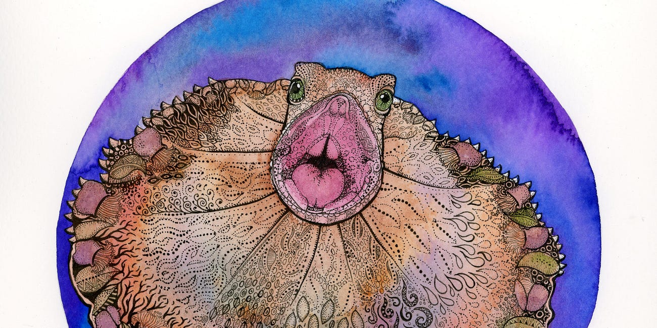 F is for Frilled-Neck Lizard