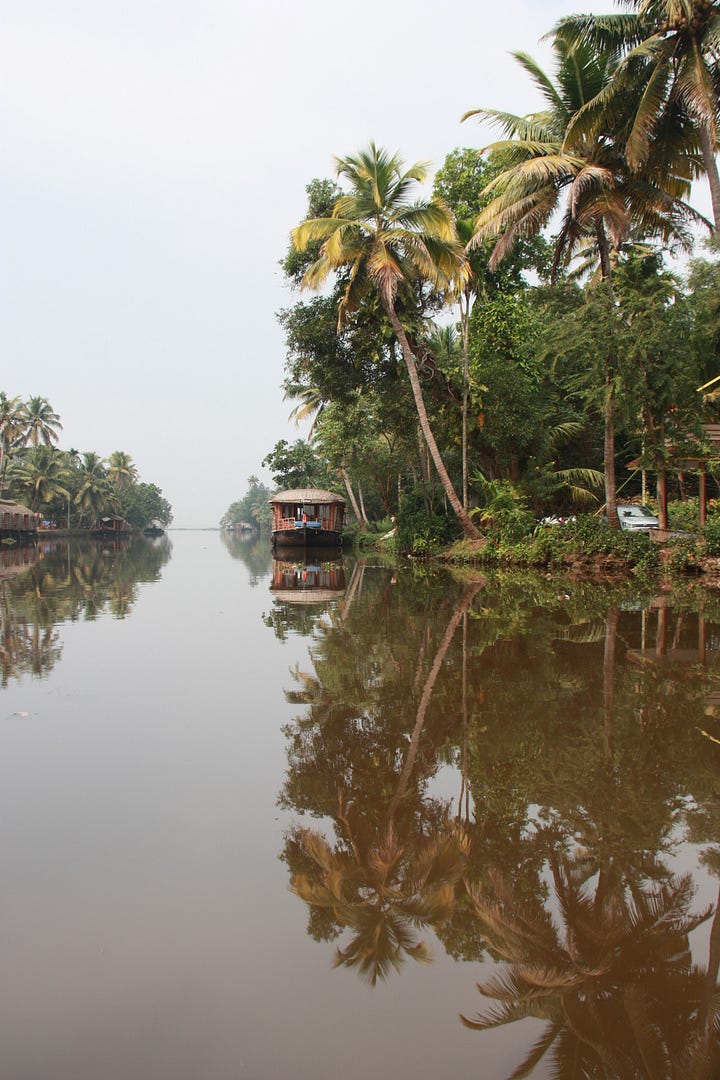 Dark pink waterlilies and three photos showing thatched houseboats with reflections