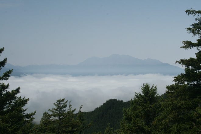 IMG_5983 IMG_5983