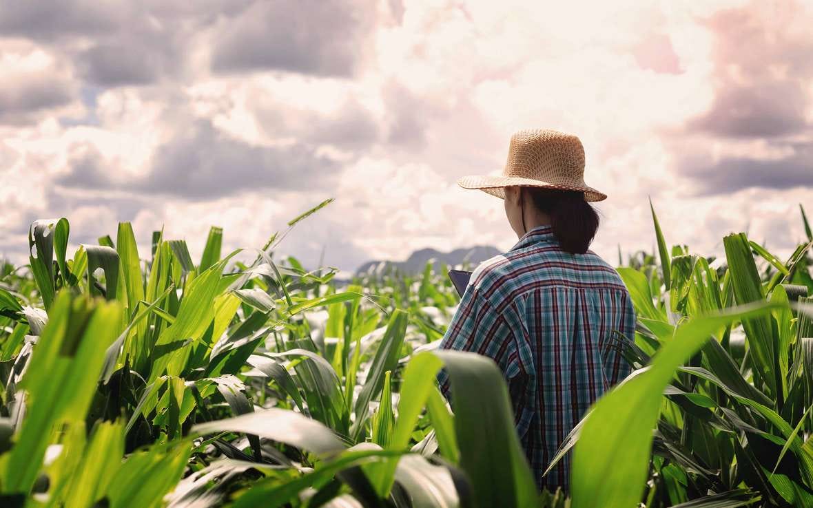 farmer