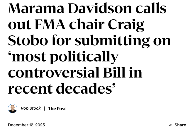 Headline: "Marama Davidson calls out FMA chair Craig Stobo for submitting on ‘most politically controversial Bill in recent decades’"