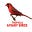 Birds Tv official's avatar