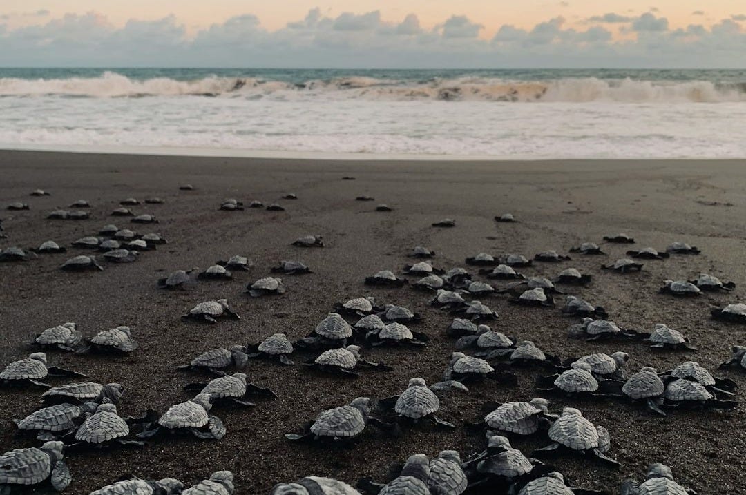 gray stones on seashore during daytime gray stones on seashore during daytime