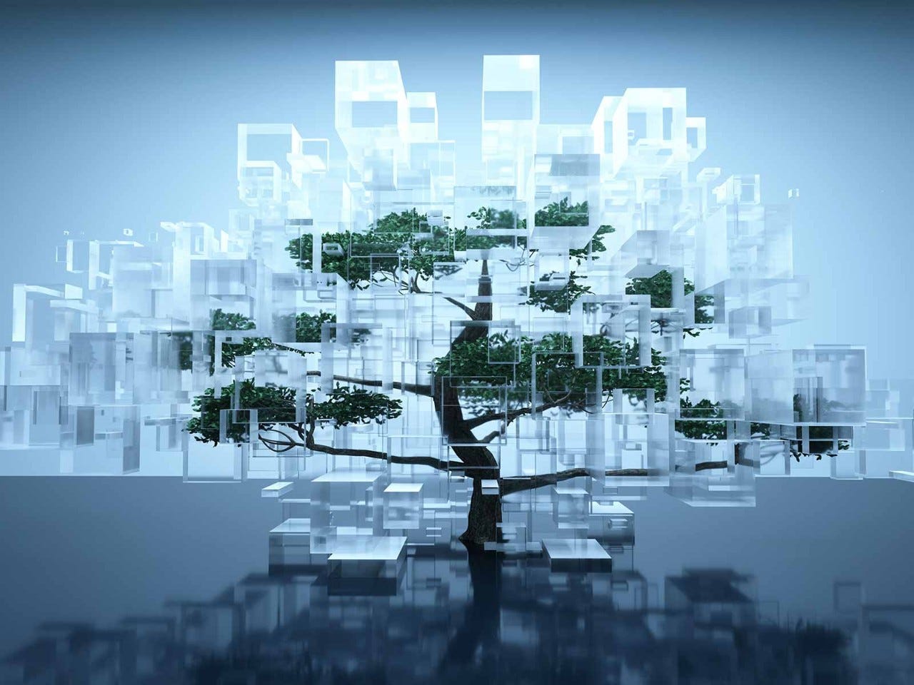 Blockchain boost for sustainability