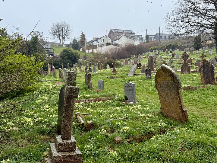 Photo from my trip to Marldon in April 2025: The first two show the hill behind the church, which Goudge considered Gentian Hill. It contains a cemetery. The church has a fabulous back door!