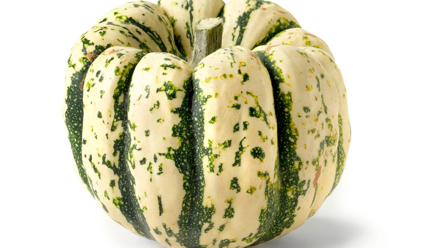 What Is Sweet Dumpling Squash?