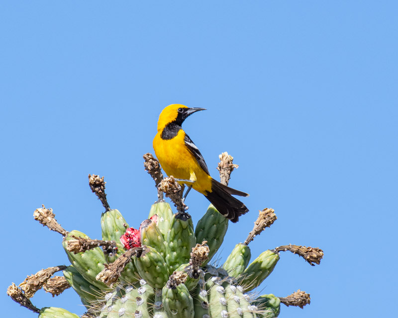 20200616_MBY-45.jpg 20200616_MBY-45.jpg