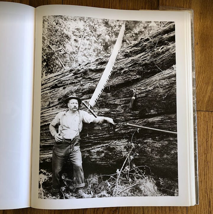 historical photos of PNW loggers