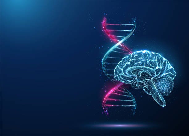 bildbanksillustrationer, clip art samt tecknat material och ikoner med abstract blue and purple dna molecule helix and brain - brain