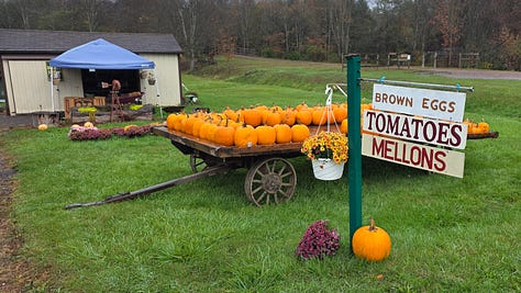 Scenes on the Great Allegheny Passage to Confluence ence