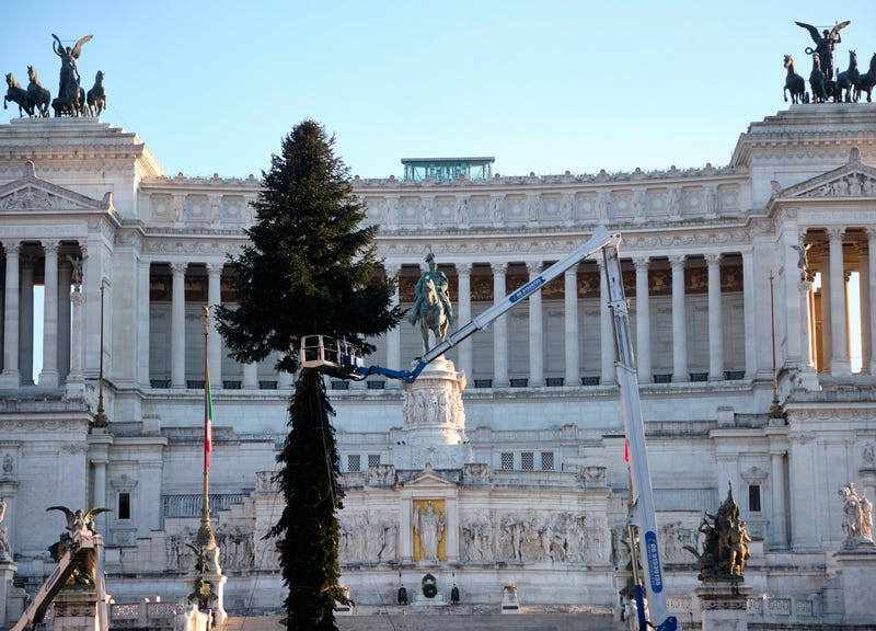 spelacchio 2021 albero roma 01 spelacchio 2021 albero roma 01