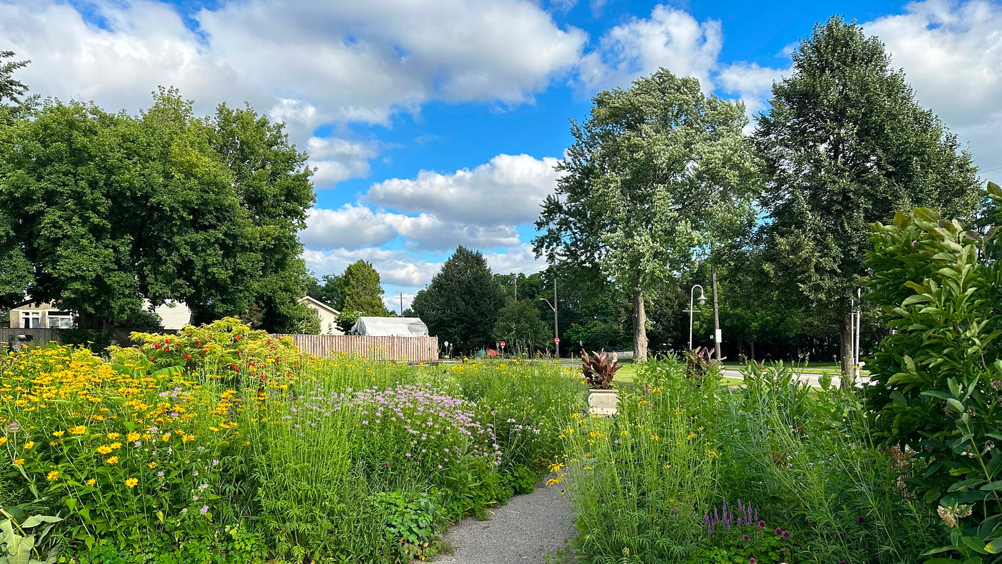   Sunset Cultural Garden on Strachan Street West in the North End