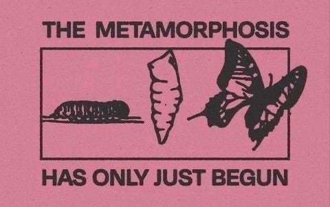 This may contain: the metamorphosis has only just begun poster with butterfly and caterpillar