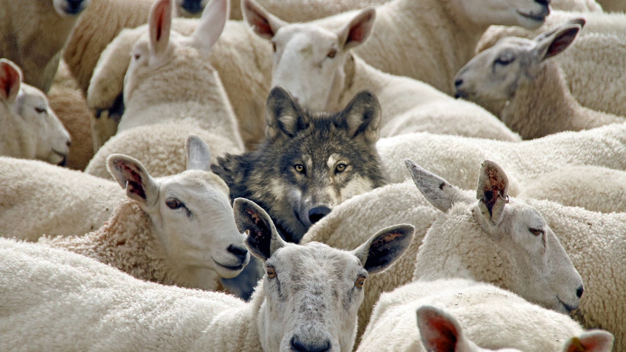 Methodology of False Teachers – Fellowship of Huntsville Church Methodology of False Teachers – Fellowship of Huntsville Church