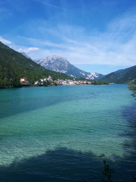 Nature (snowy road, Venice in the summer), and pets (German shepherd and grey cat)