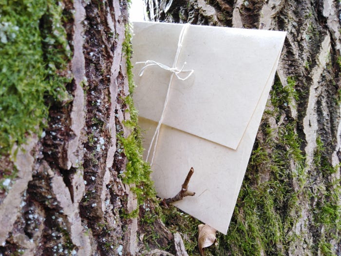 Brief, der in einer Baumgabel steckt Brief, der in einer Baumgabel steckt