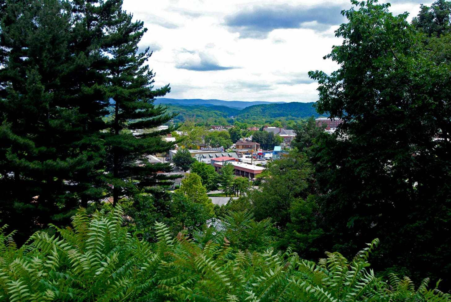 The Greater Elkins area, Potomac Highlands. Shot of downtown through the trees.