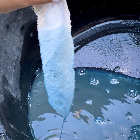 indigo plant, indigo fermenting, dyeing with indigo