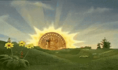 bitcoin rise and shine