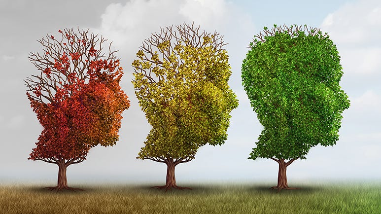 is too much iron in the brain causing alzheimer's