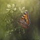 The Journal of Mindful Nature