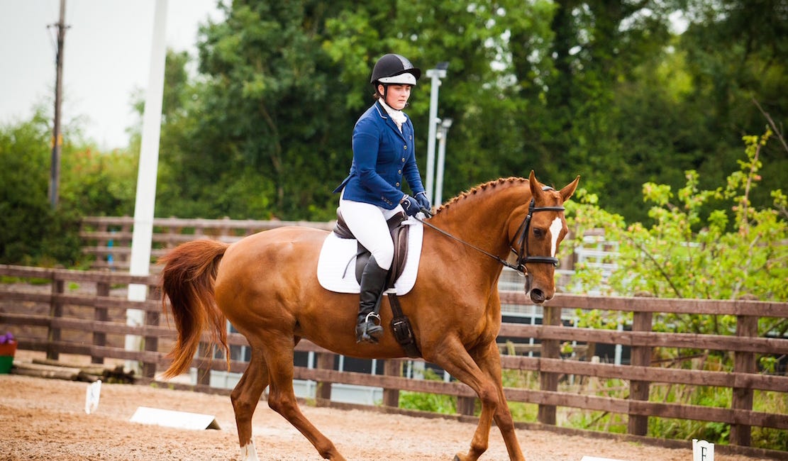 Hagans Croft hosts penultimate leg of Dressage League
