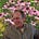 Craig Lane's avatar