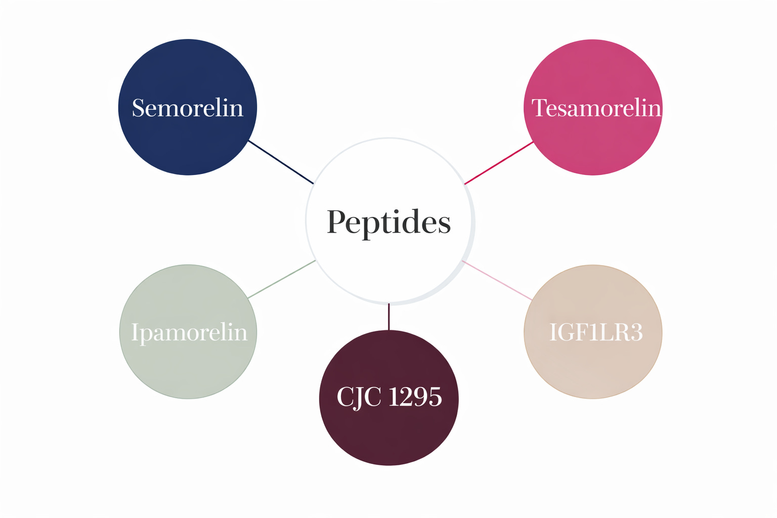 Growth Hormone and Longevity What Sermorelin and Tesamorelin Actually Do