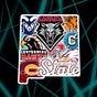 NM Prep and College Sports's avatar