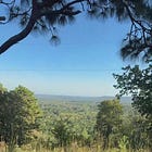 Live Preview of New Novel, Daedalia