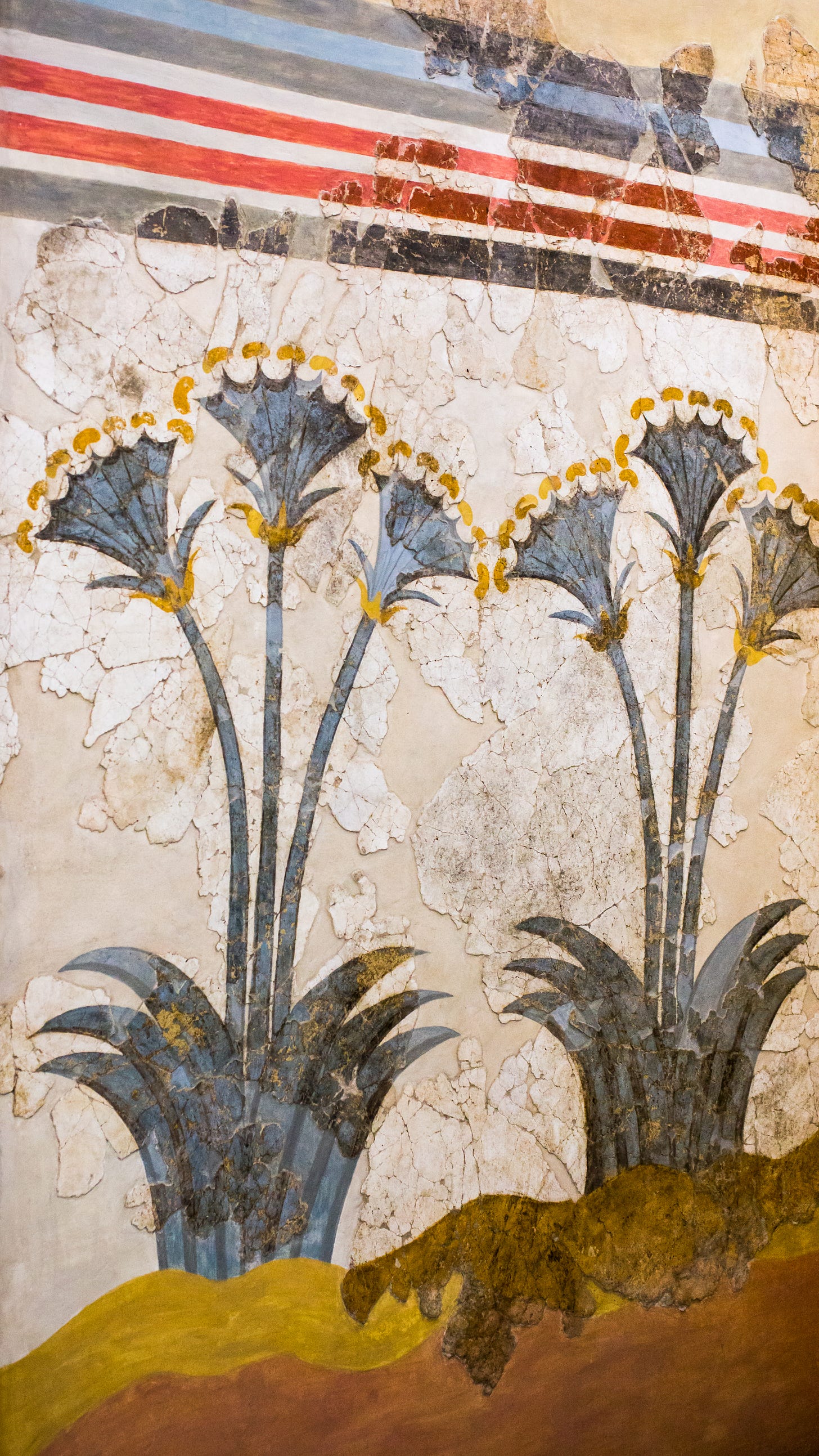 Fresco (wall painting) of papyrus plants from the House of the Ladies in the Minoan colony of Akrotiri on the island of Thera (modern Santorini). Two blue-gray papyrus plants grow from undulating ground. Each plant has three tall stalks, and each stalk is topped by a fan-shaped bloom. A border of horizontal red, blue, and white lines runs across the top of the fresco.