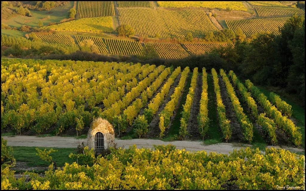 DOMAINE DES BARRES: Wines and vineyards France, Atlantic Loire Valley DOMAINE DES BARRES: Wines and vineyards France, Atlantic Loire Valley