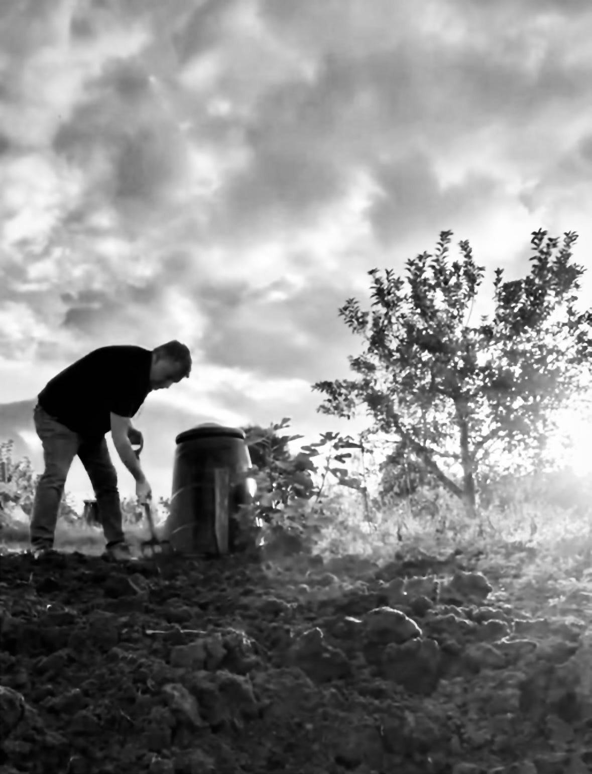 A black and white image of Gary Webb weeding a patch of soil beside a compost bin.