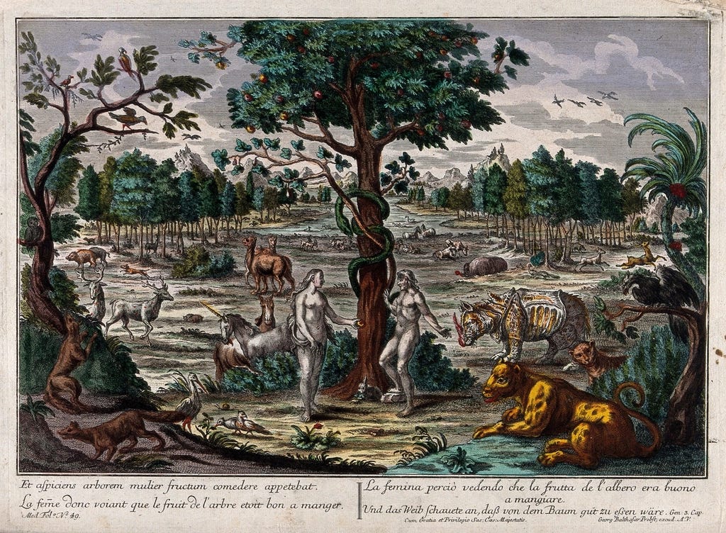 Garden Eden, serpent curls tree