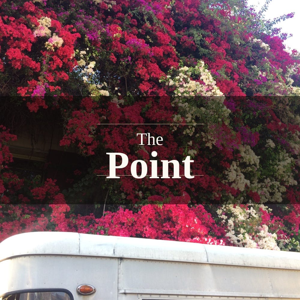 The Point