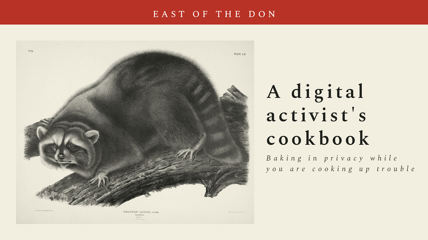 An 1845 engraving of a raccoon. The cookbook's cover.