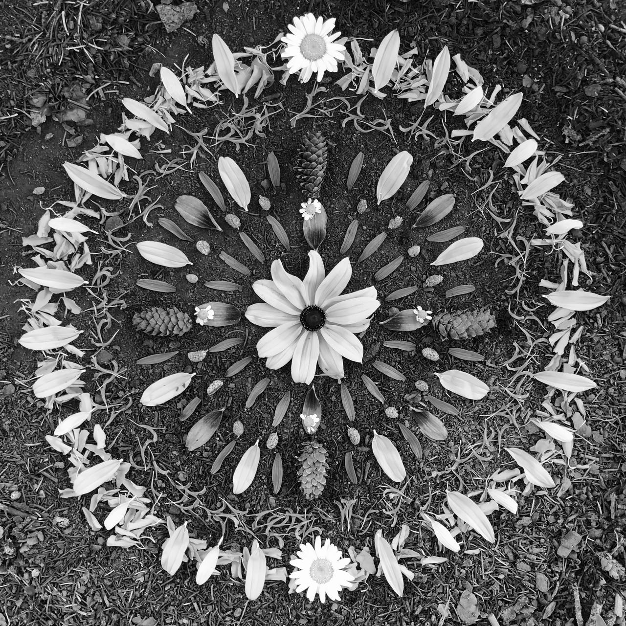 the heart of Gaia