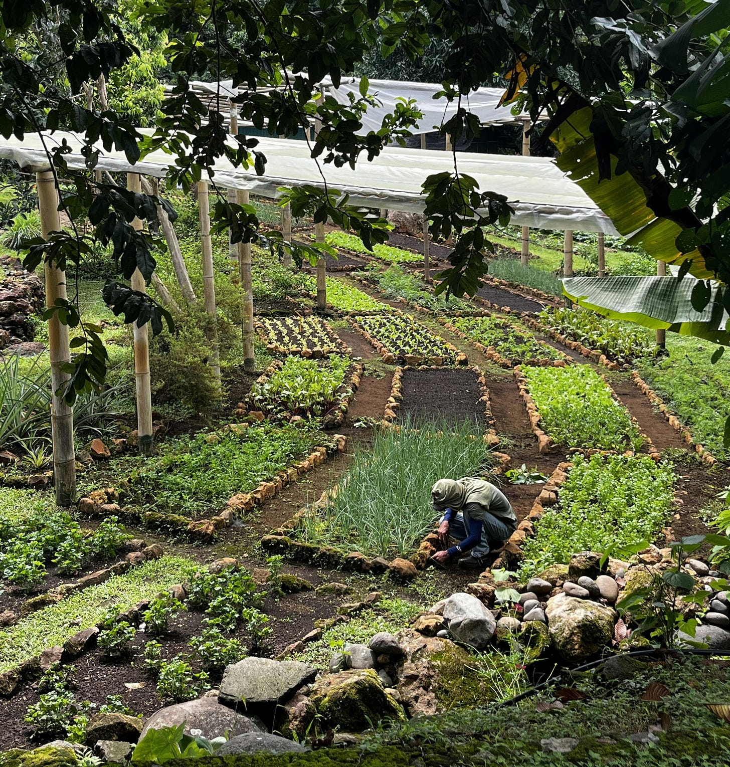 037: Loving What You Have, Having What You Love! 037: Loving What You Have, Having What You Love!