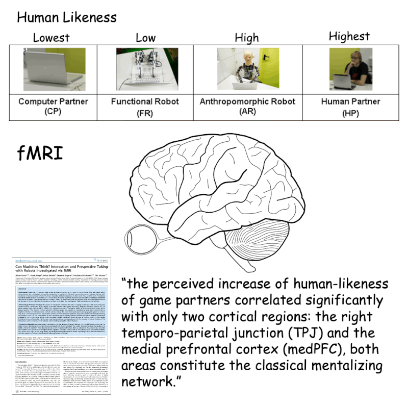Can Machines Think? Interaction and Perspective Taking with Robots Investigated via fMRI