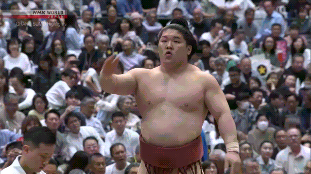Sumo Stomp! | Tim Edwards | Substack