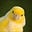Overtime Reader's avatar