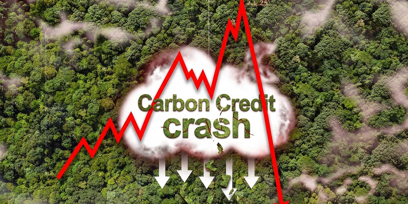 The Carbon Credit Crash