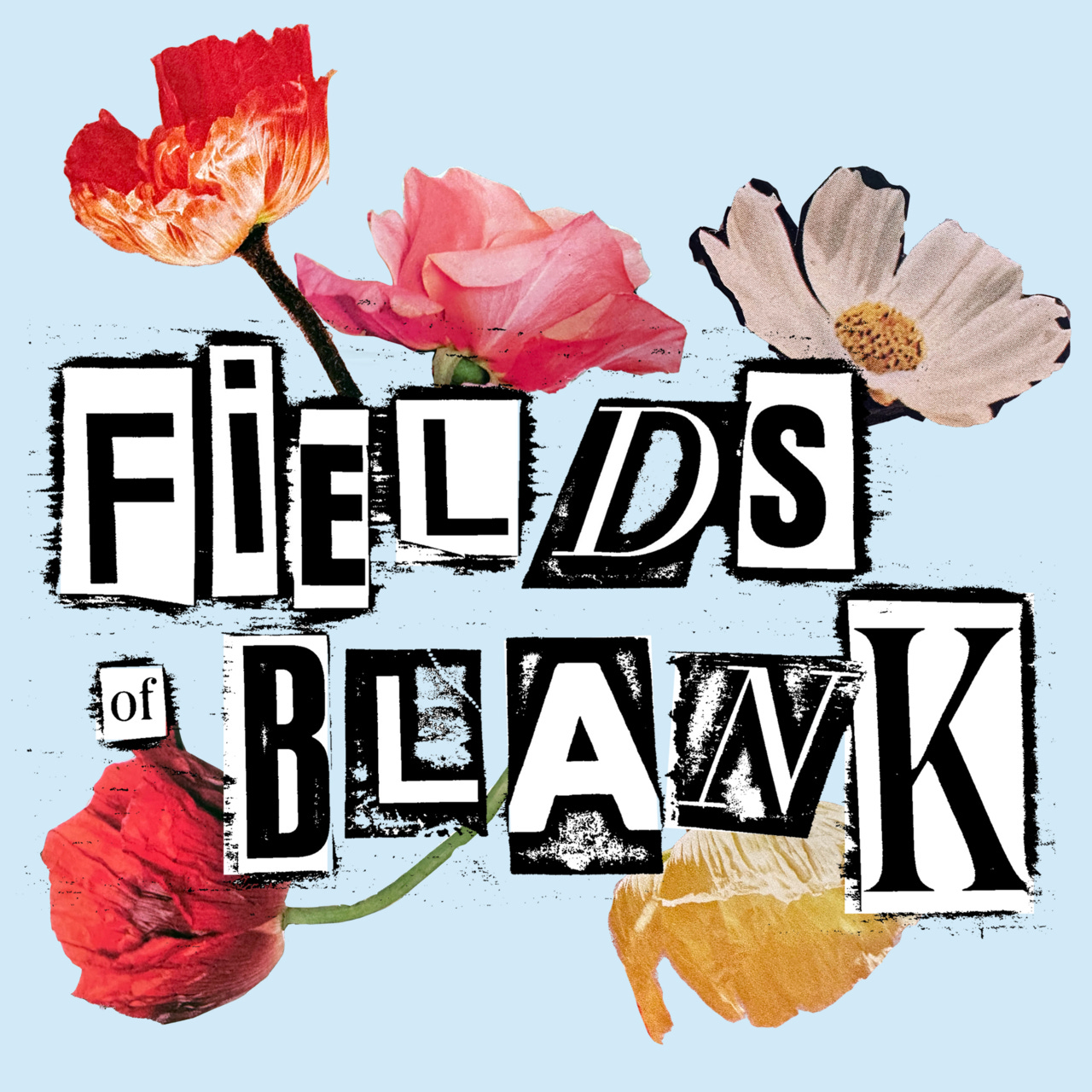 Fields of Blank from Jordan Westfall