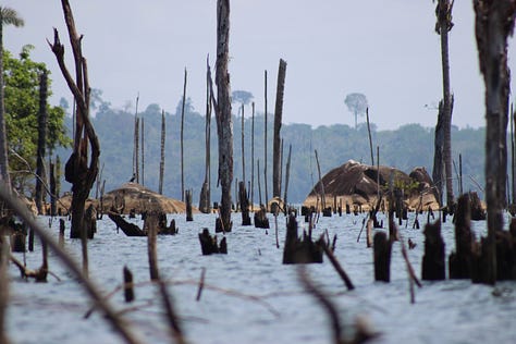 Xingu River. Credit: Anita Makri